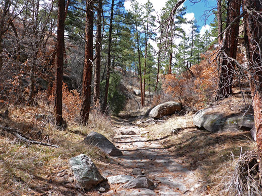 Lummis Canyon, Bandelier