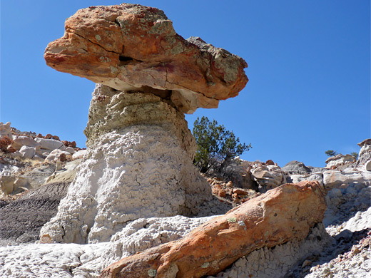 Reddish caprock at Lybrook