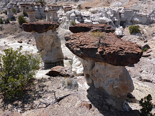 Hoodoos with brown caprocks