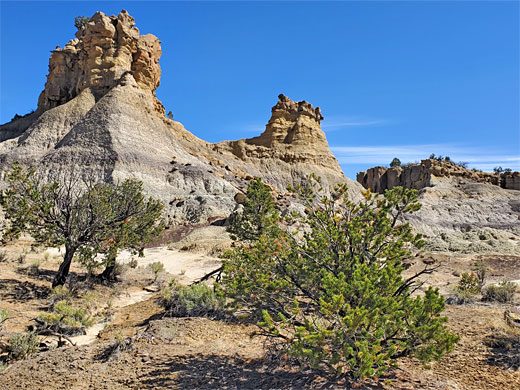 Trees below peaks