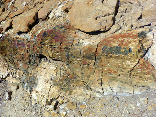 Photographs of Ceja Pelon Mesa