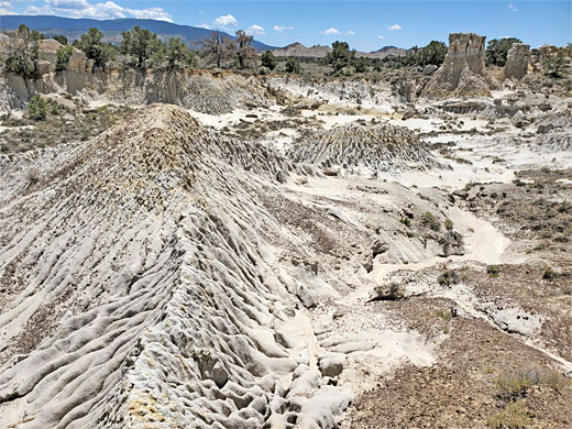 Fluted ridge, San Jose Badlands