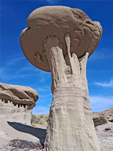 Delicate supporting pedestal