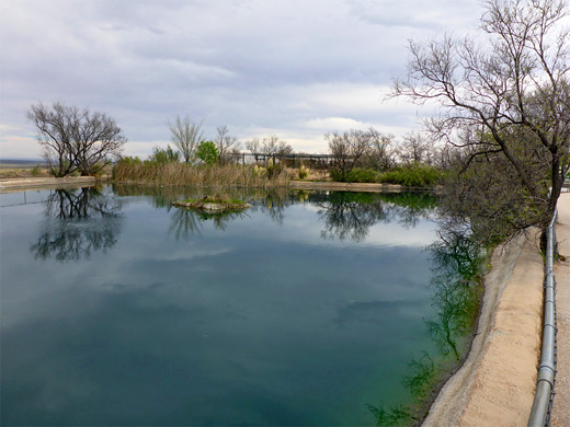 Waterfowl pond