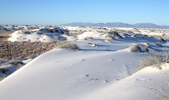 Hotels Near White Sands National Monument New Mexico Hotels Near White Sands National Monument New Mexico