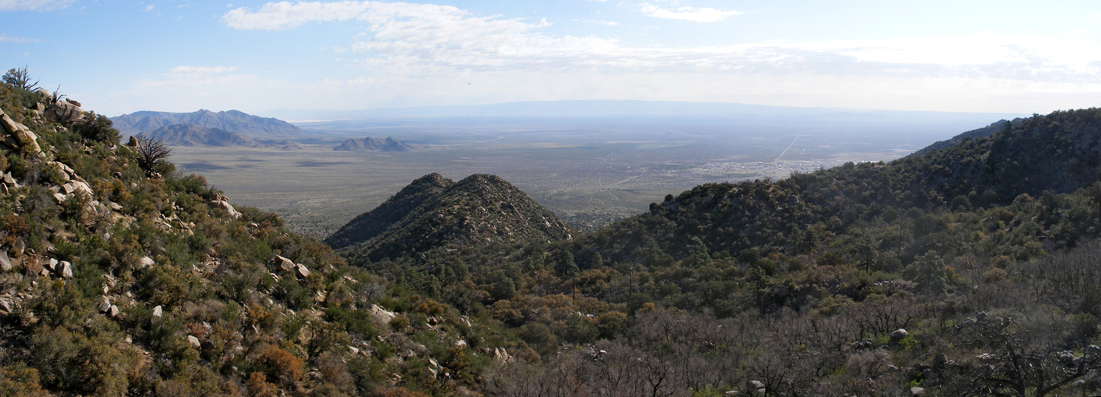 Pine Tree Trail - view northeast