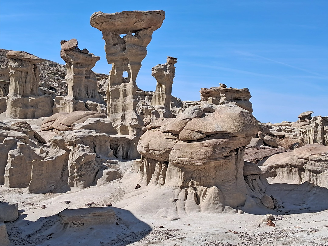 Formations around the Alien Throne