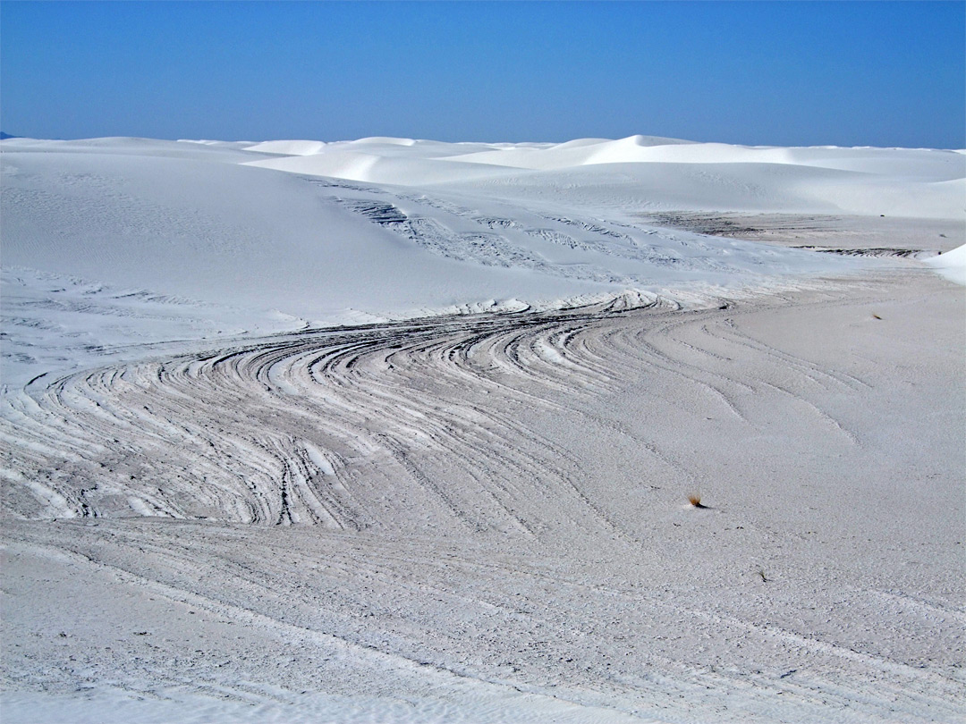 Dunes and flats