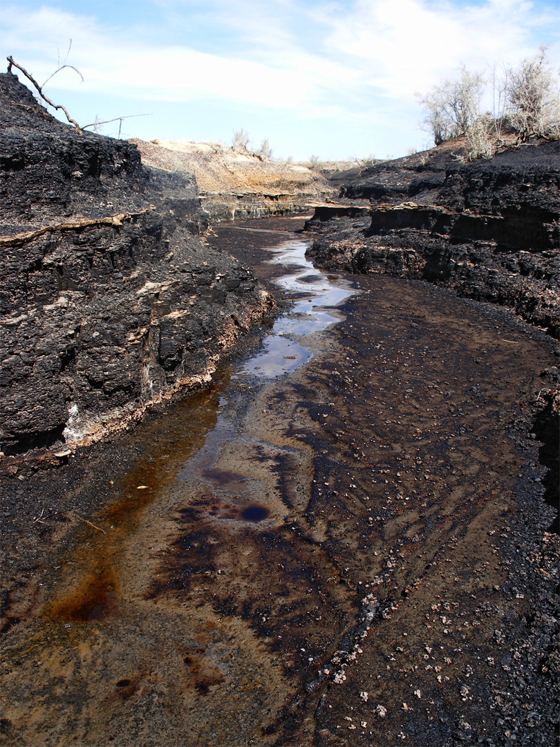 Oil flowing across coal