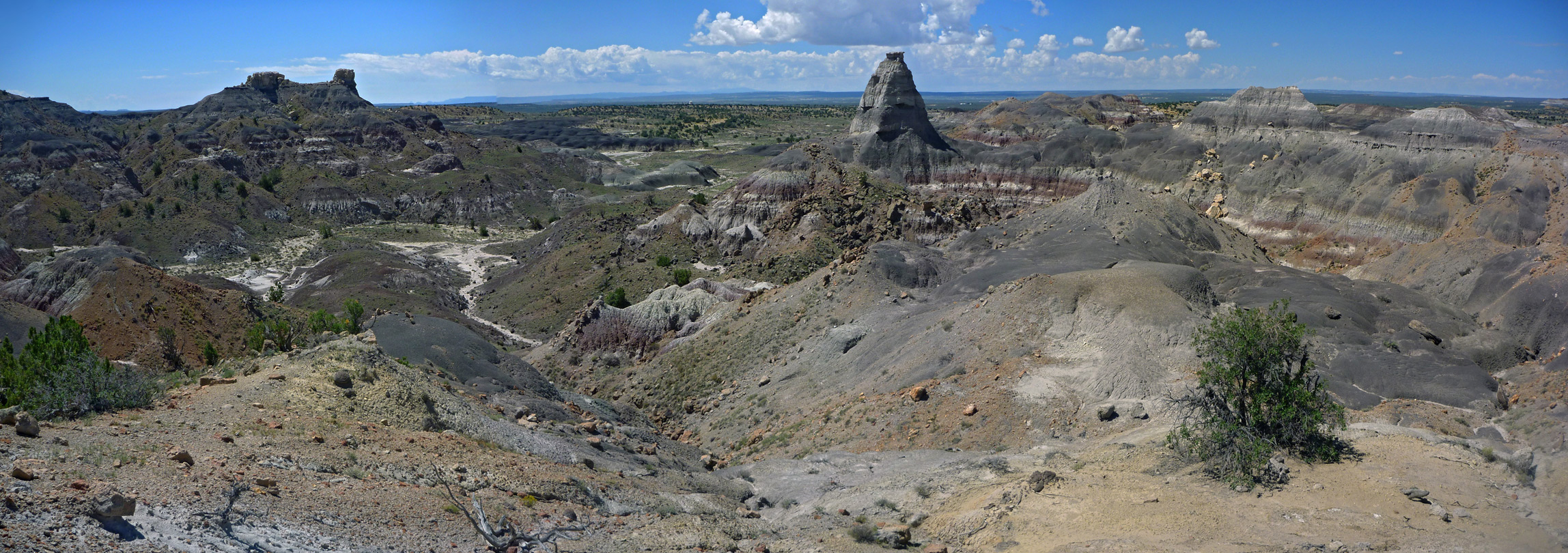 View south over the badlands
