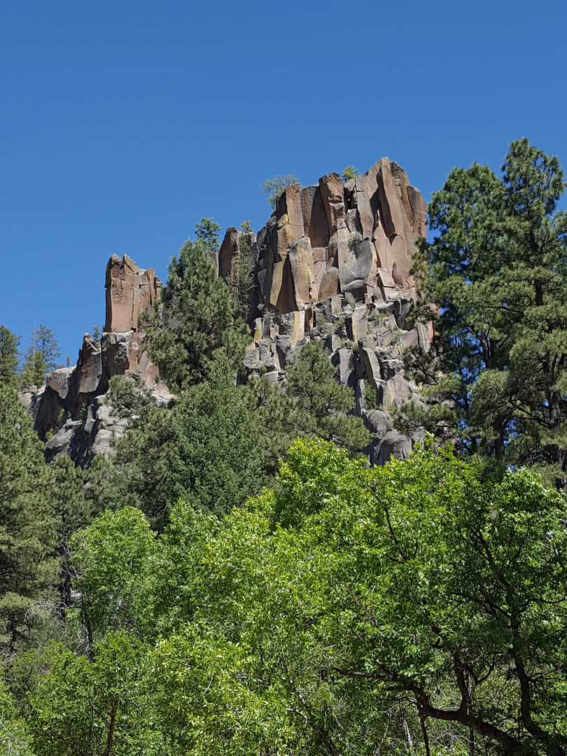 Trees below Battleship Rock