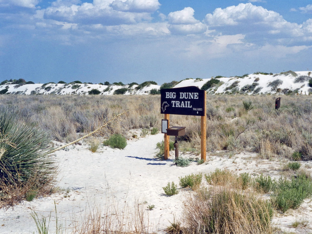 The Big Dune Trail