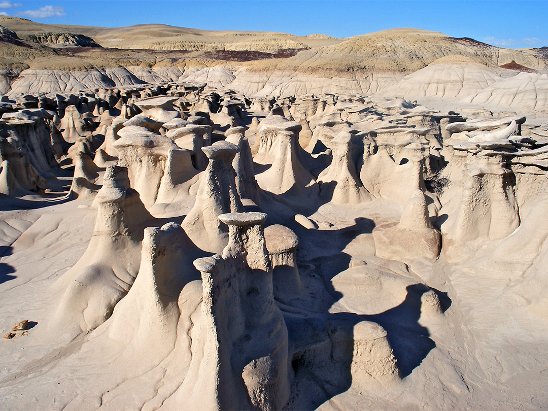 Hoodoo garden