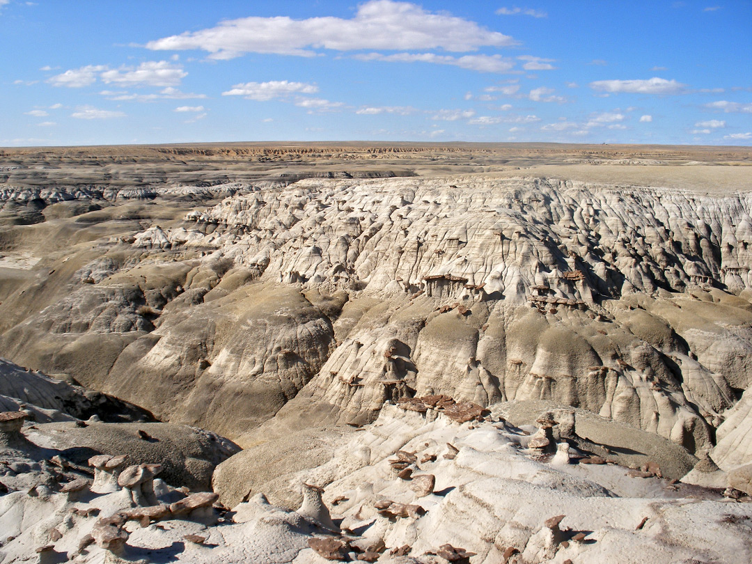 Many hoodoos