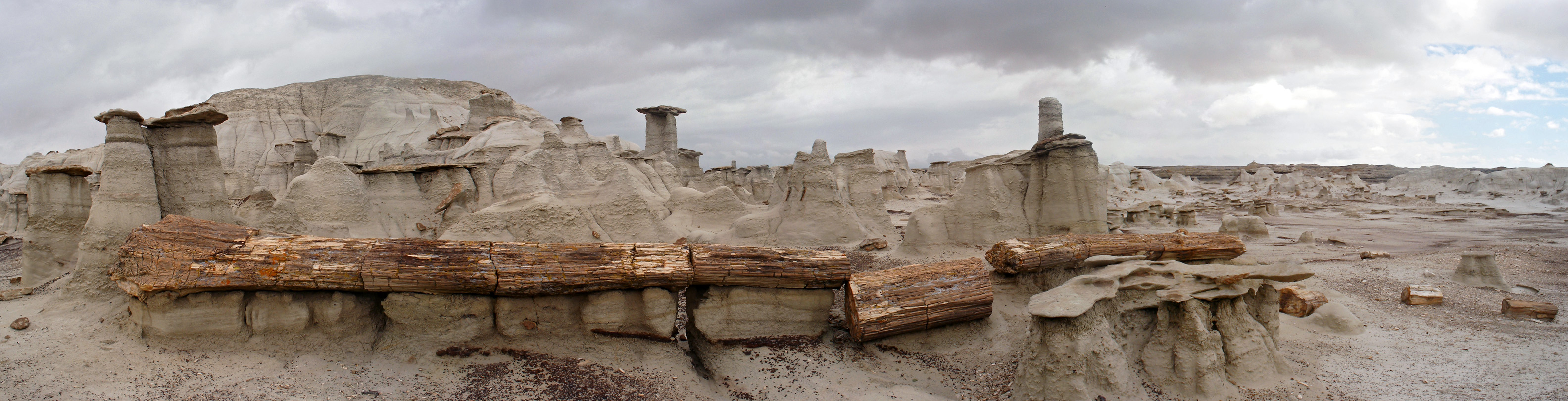 Hoodoos and a petrified log