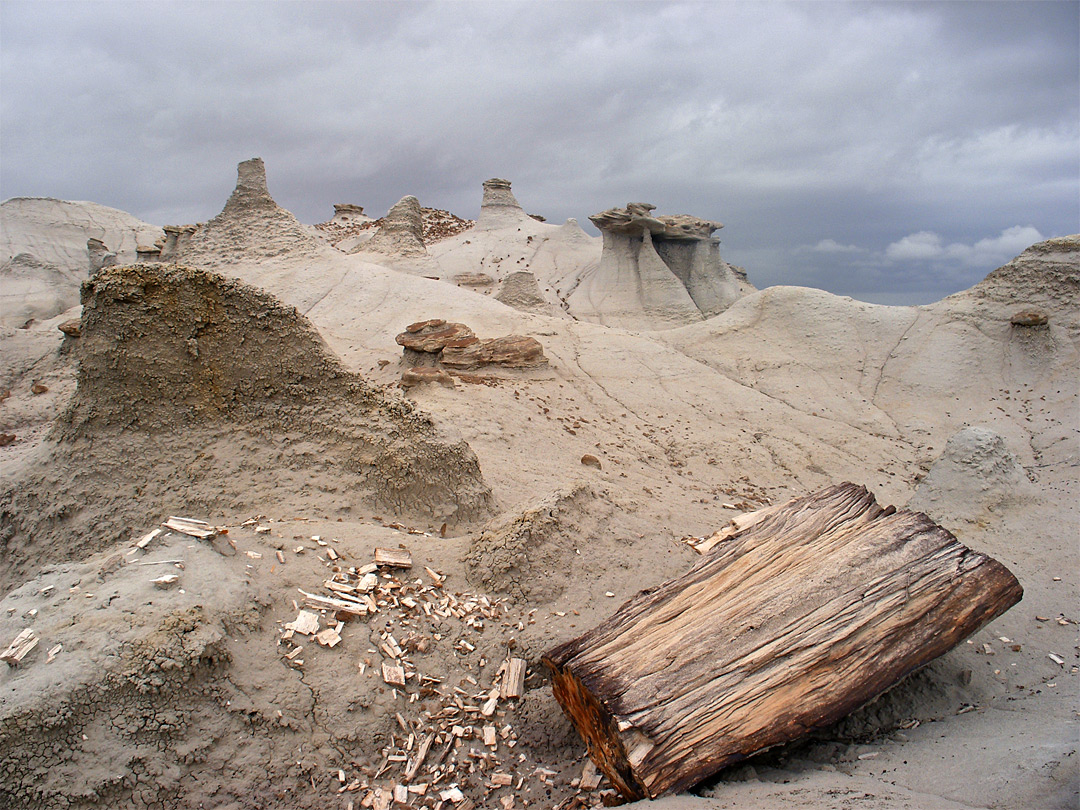 Petrified log and hoodoos