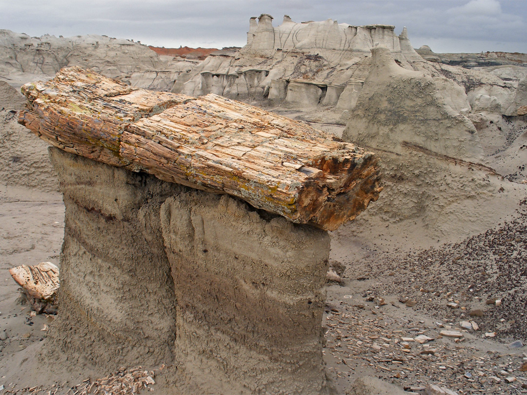 Petrified log hoodoo