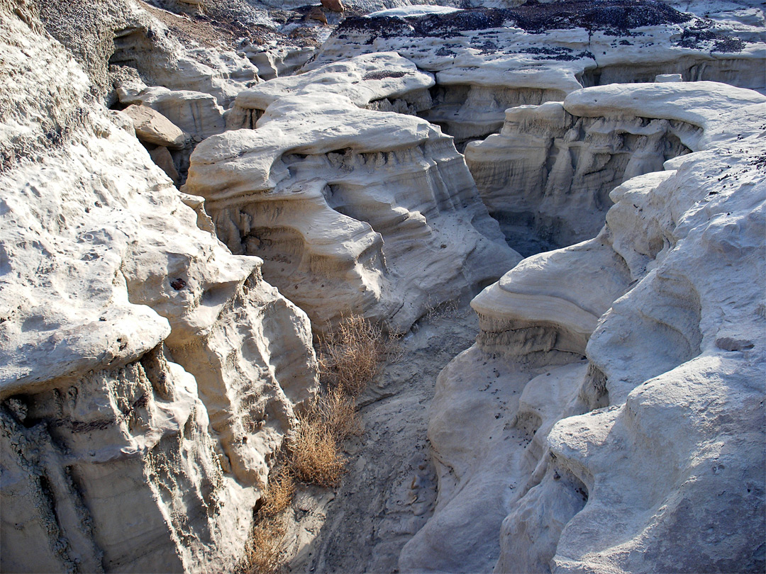 Sandstone ravine