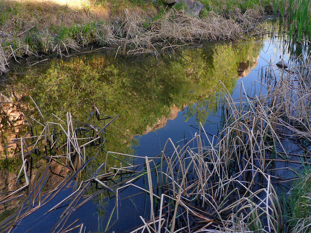 Reflections