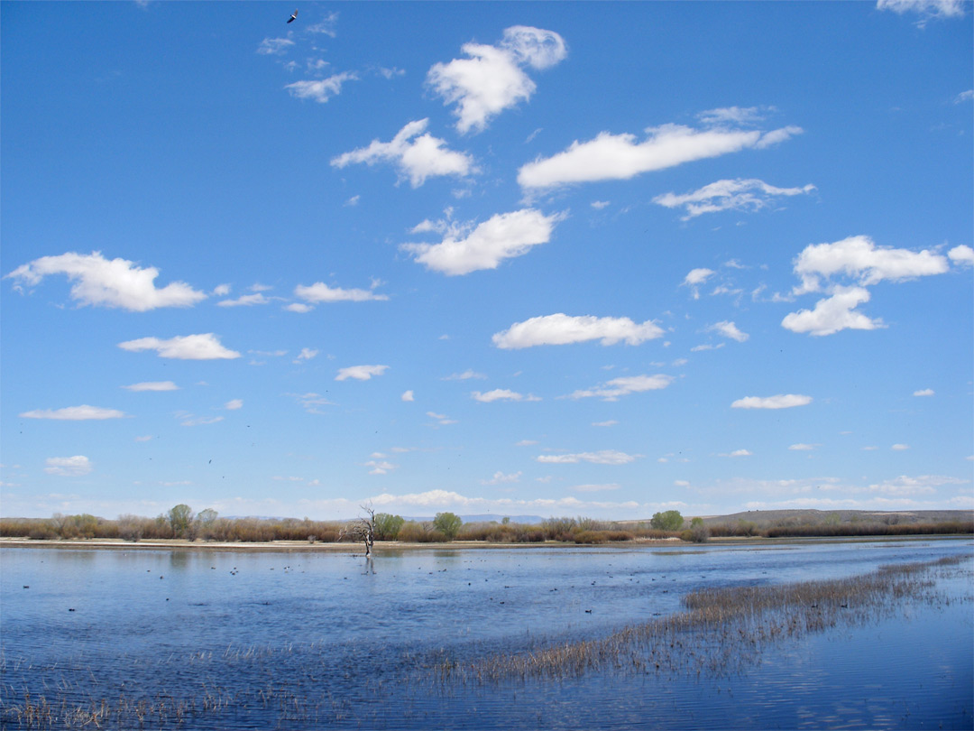 Clouds above the water