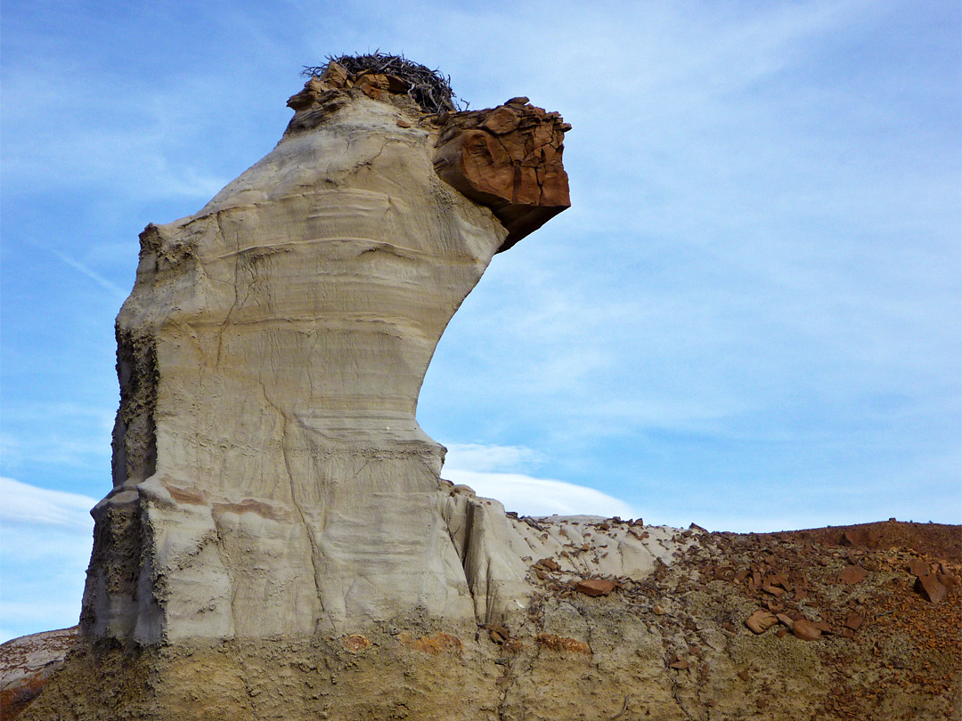 Bird's nest on a hoodoo