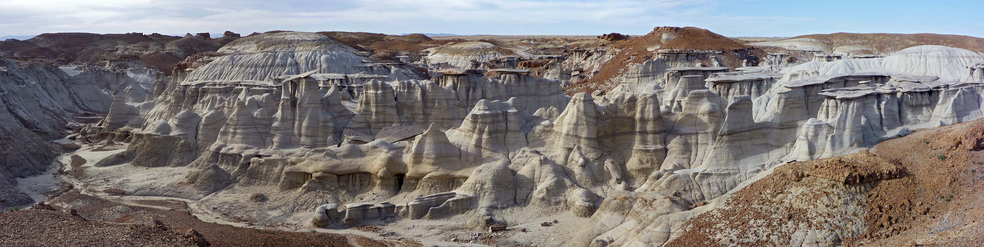 Ravine with hoodoos and petrified wood