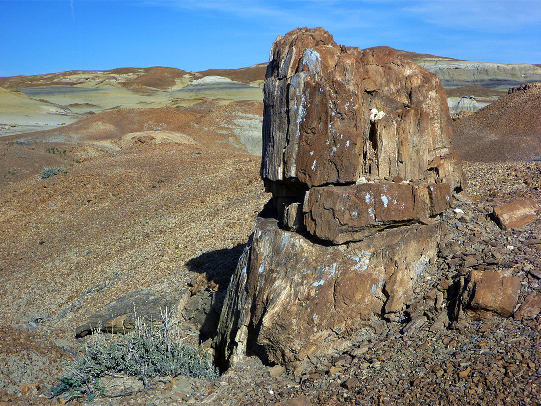 Petrified tree stump