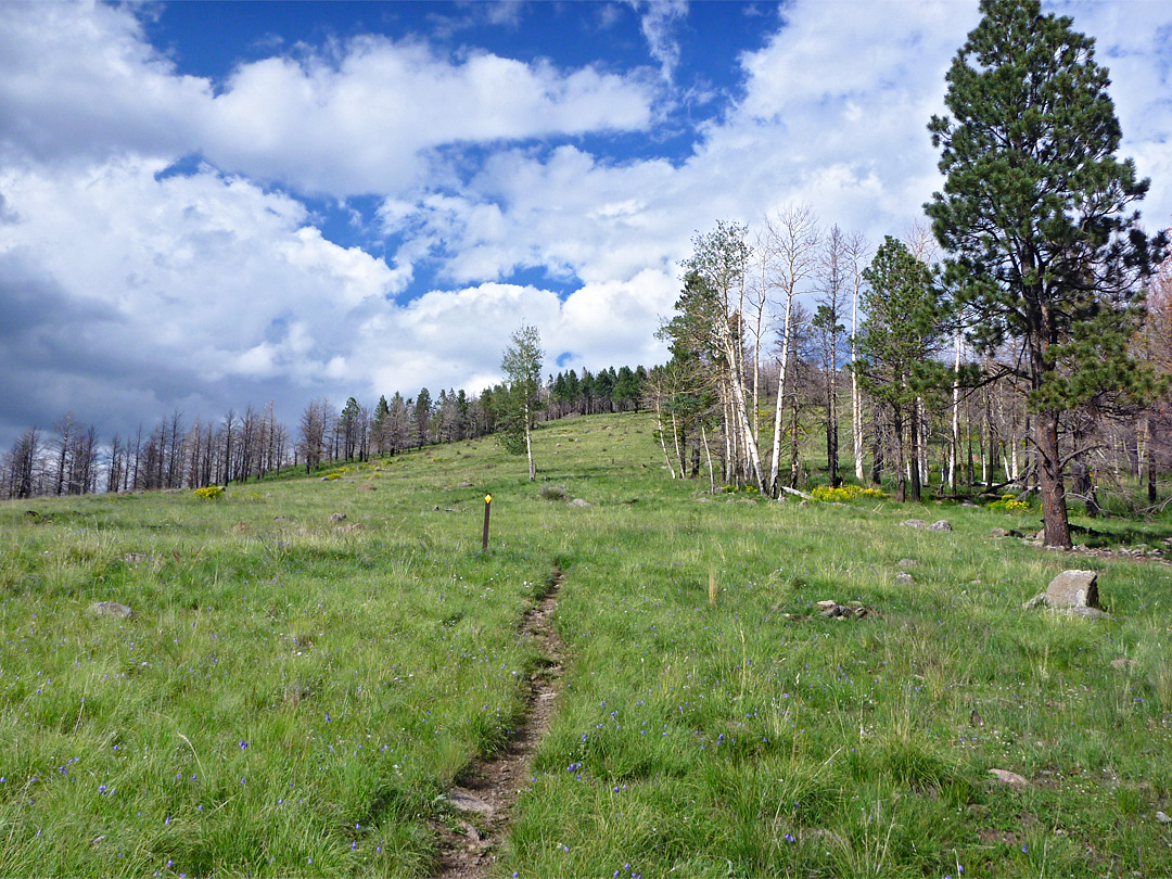 Half way along the trail