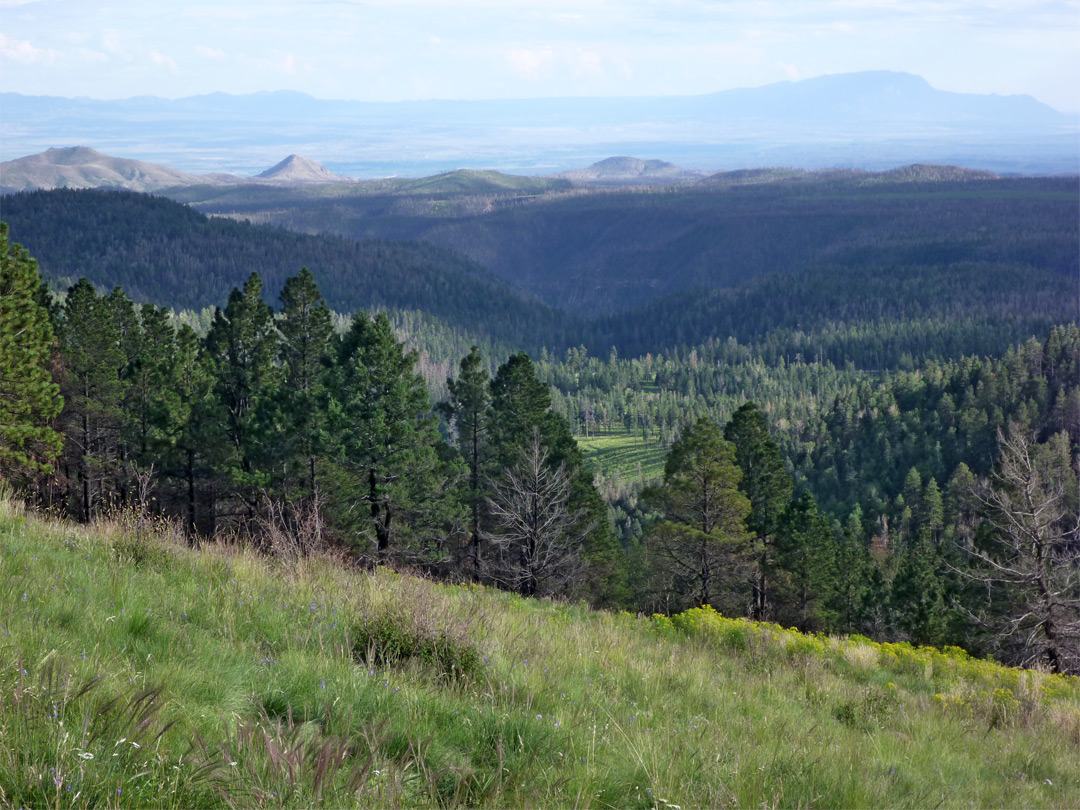 Grassy slopes