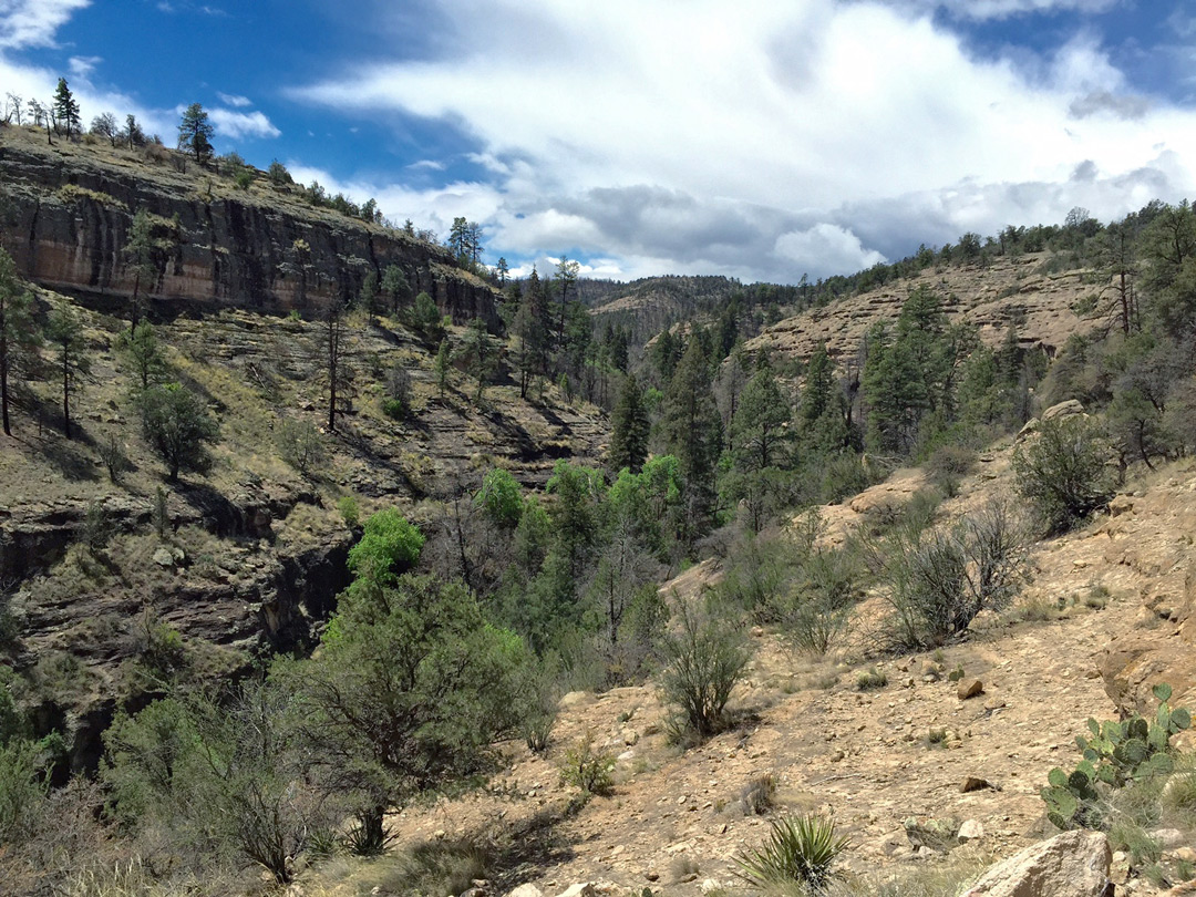 Cliff Dweller Canyon