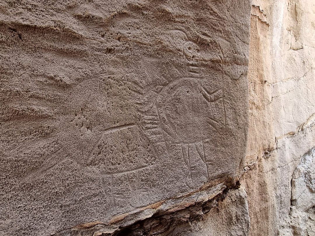 Coarsely-textured cliff face