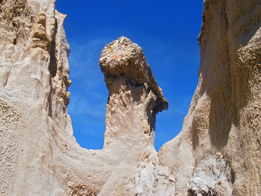 Petrified log hoodoo