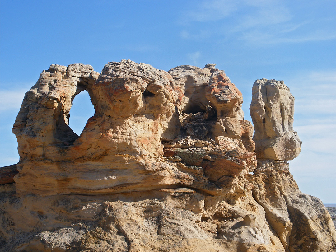 Arch and petrified wood