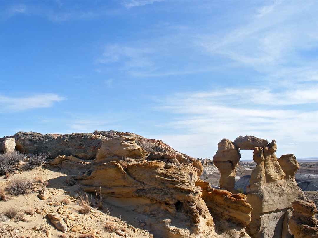 Balanced rock and a petrified tree