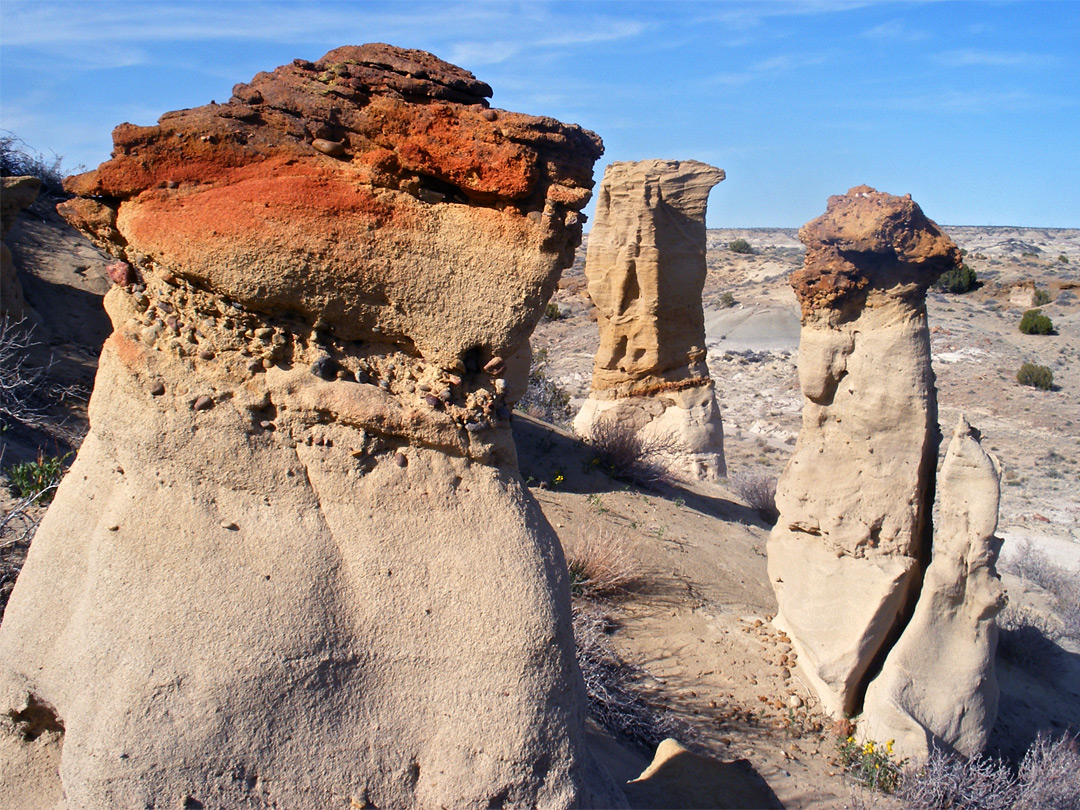 Red-topped pinnacle