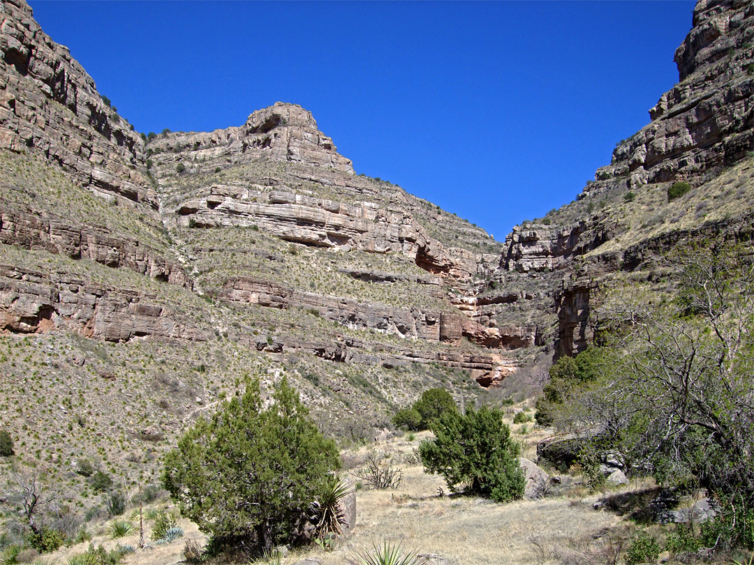 Upper end of Dog Canyon