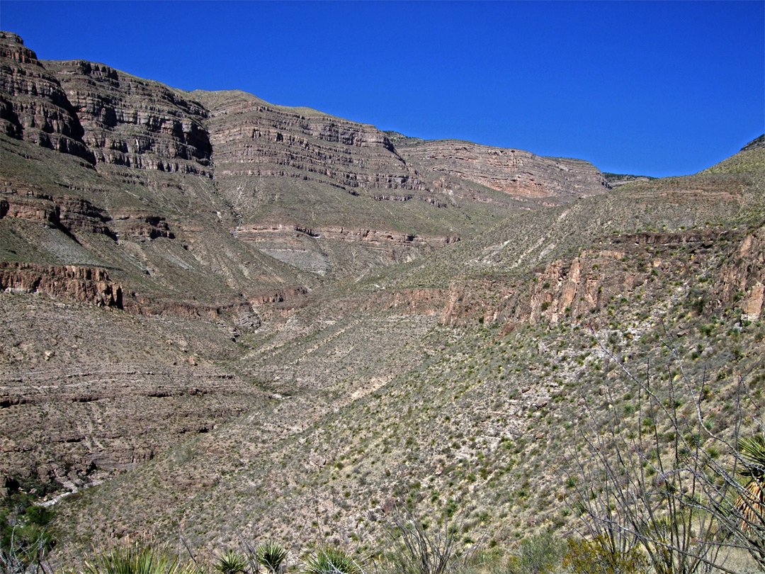 Middle of Dog Canyon