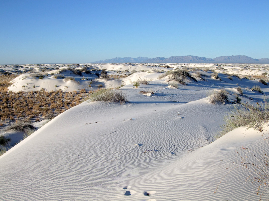 Edge of the dunes