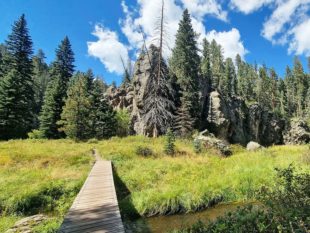 Footbridge