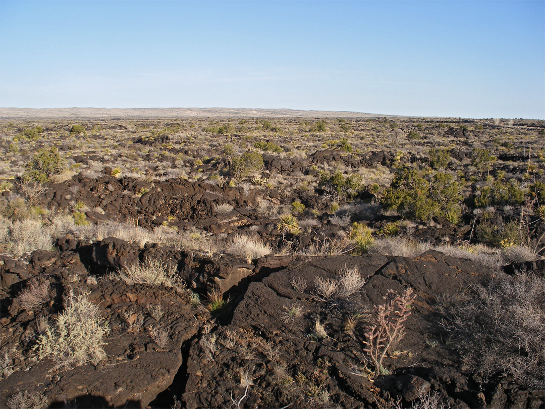 View south from the campsite