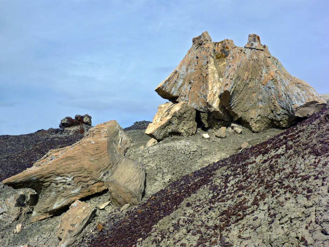 Petrified stump