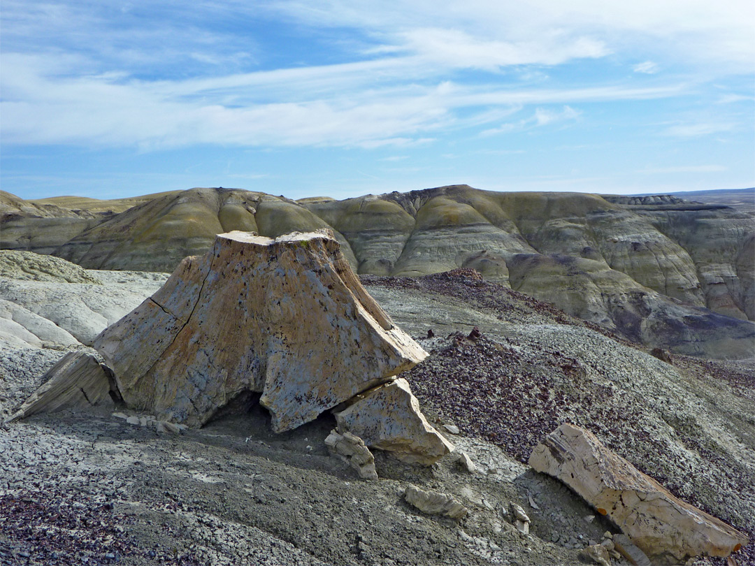 Petrified stump and yellow badlands