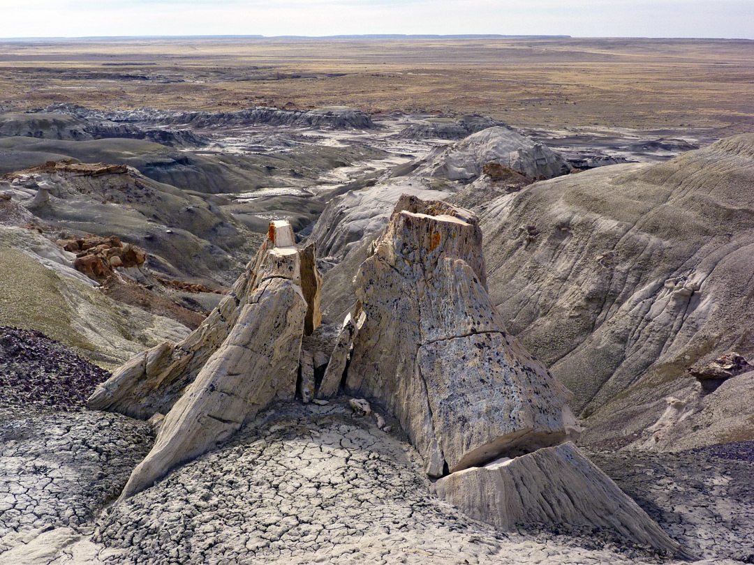 Petrified stump above a ravine