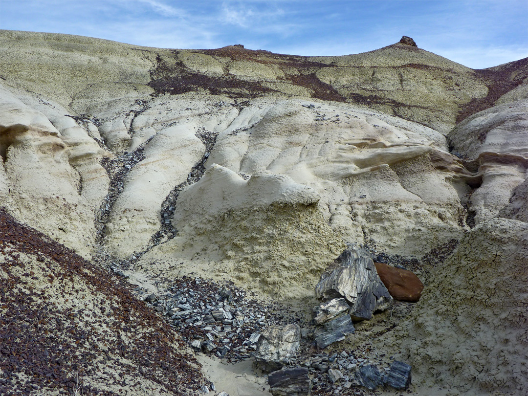 Gully with petrified wood