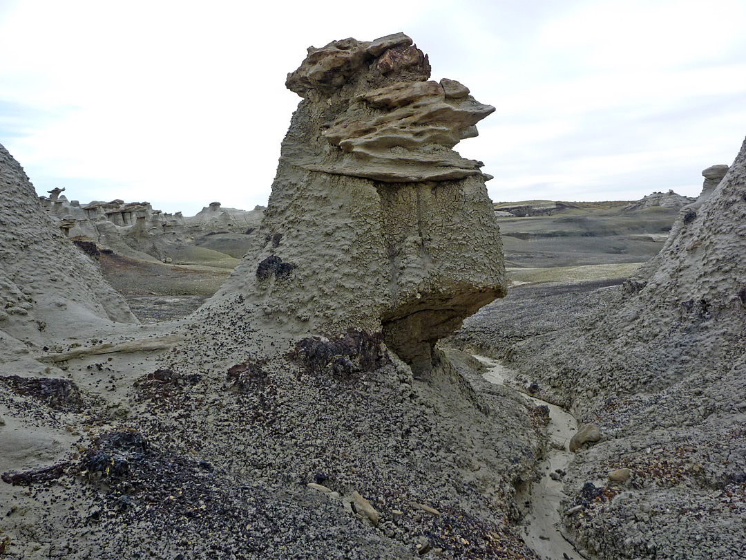 Hoodoo, wash and badlands