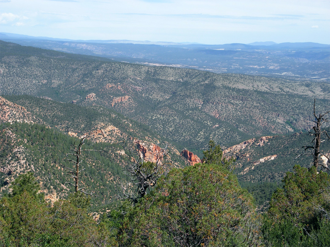 Wooded mountains