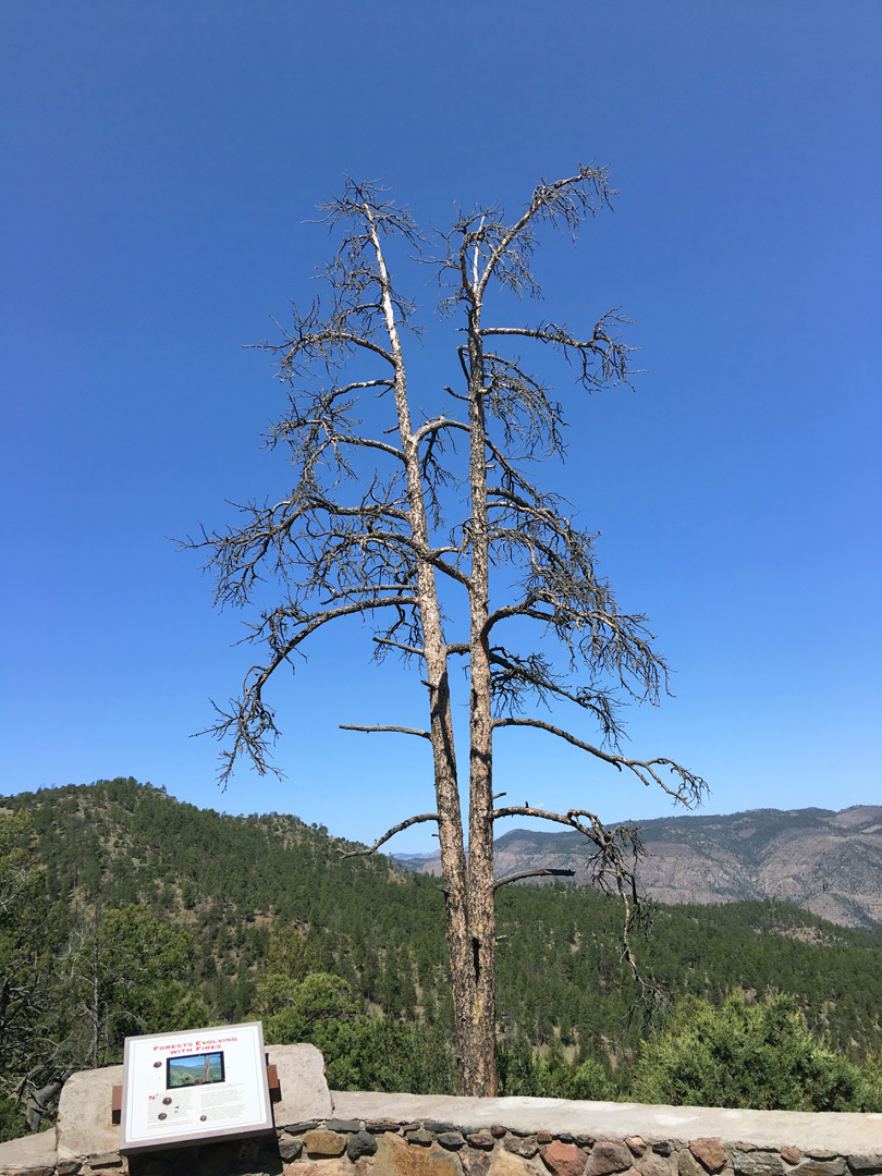 Roadside overlook