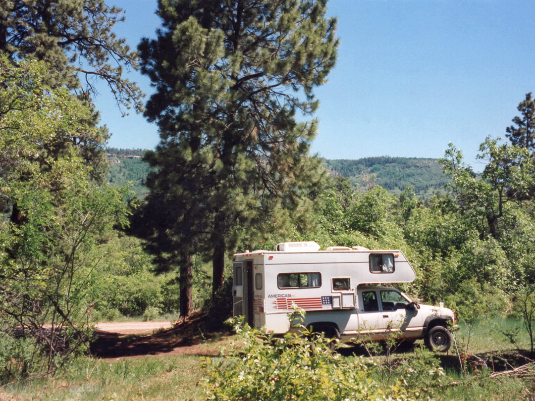 Campsite in the forest near Cuba