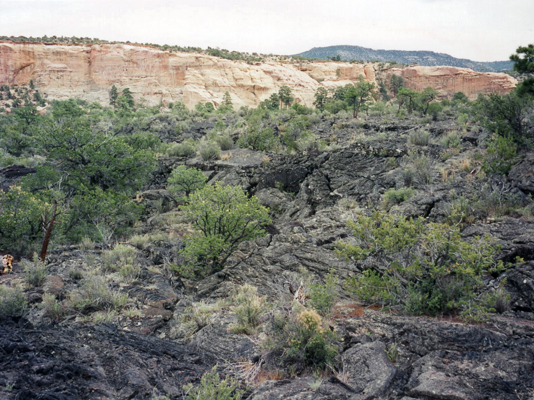 Lava by the Zuni-Acoma Trail