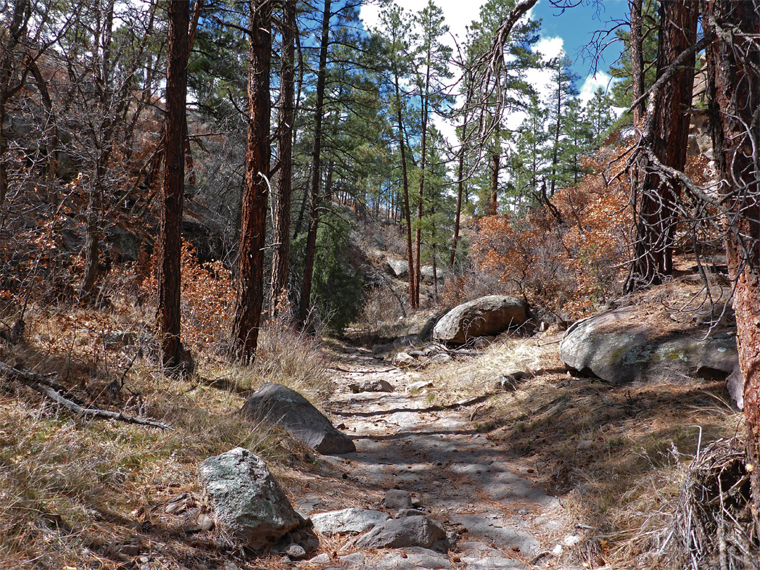 Lummis Canyon